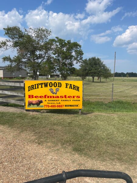 Signage for Driftwood Farm, a Gobert family-owned beefmaster cattle farm located in Iowa, Louisiana, with contact information and scenic farmland in the background.
