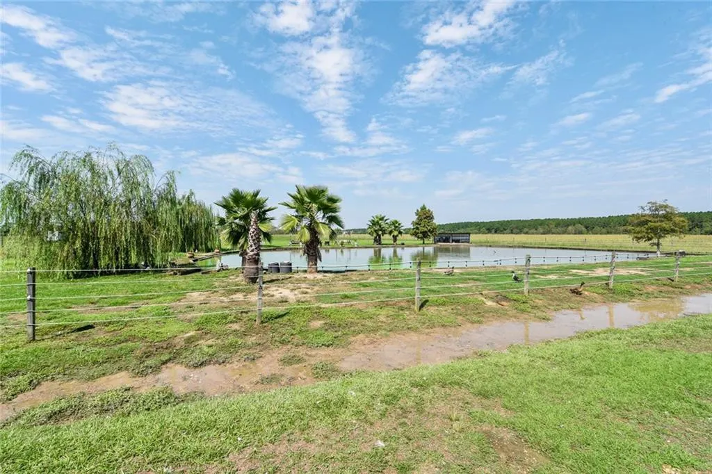 Scenic view of a tranquil farm landscape featuring a pond surrounded by palm trees, lush green grass, and a clear blue sky, ideal for nature lovers and outdoor enthusiasts.